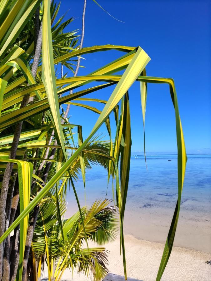 Moorea Beach Lodge Extérieur photo